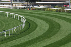 Horse paddock maintained with autonomous robotic mowing